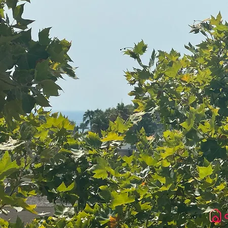 La Alboreda アパート *